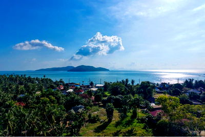 ที่ดิน เกาะสมุย สุราษฎร์ธานี : [920061011-70] Land for Sale - Prime Location, Koh Samui