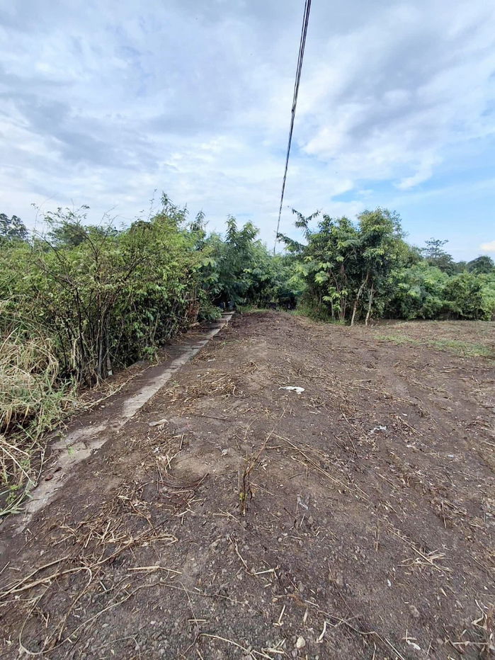 รูป ขายที่ดินเปล่าถมแล้ว ติดคลอง 1 ไร่ 1 งาน ลำลูกกา ปทุมธานี ราคาเพียง 4.5 ล้านบาท - รูปที่ 6/6