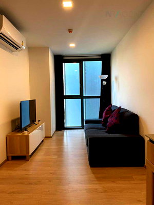 Condos for rent Phatthanakan Road : For Rent Condo TAKA HAUS EKKAMAI Building B, Floor 8,Studio, Room size 31.00 sqm