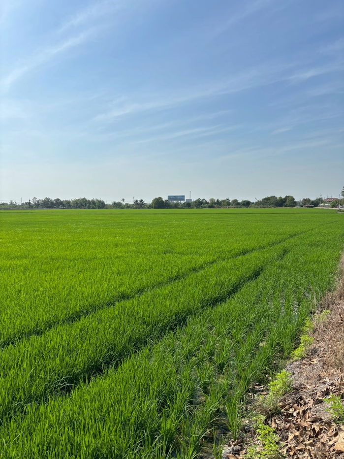 รูป ขายที่ดินเปล่า 18-0-54 ไร่ ถนนราชพฤกษ์ 346 ต.บางคูวัด อ.เมืองปทุมธานี จ.ปทุมธานี - รูปที่ 3/10