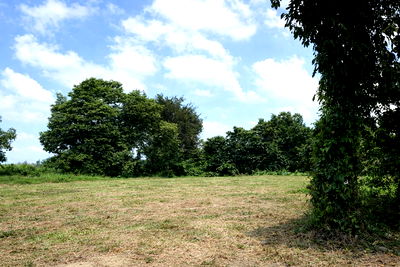 Land for sale Khlong Luang Pathumthani : 🌿 Land for Sale – Ranong Province 🌿  📍 Location 🏡  Ranong Province  📐 Total area 3 Rai 1 Ngan 16.2 Square Wah