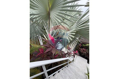 รูป [920061011-47] Tropical 5-Villa Estate | Steps from the Beach, Koh Phangan - รูปที่ 66/103