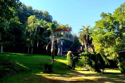 Land for sale Hang Dong Chiang Mai : [920211020-28] Unlock the Future of Hang Dong: Prime Multi-Rai Development Site.