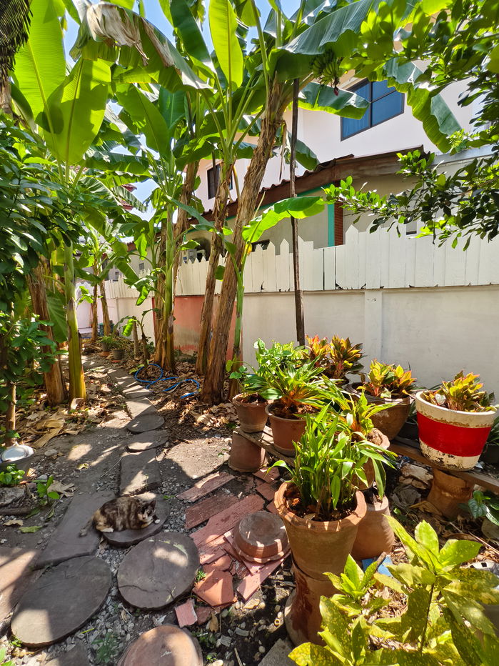 รูป ขายบ้านเดี่ยว เต็มสิริ 1 มิตรไมตรี 12 | พื้นที่ใช้สอยเยอะ จัดสวนข้างบ้านได้ - รูปที่ 2/9