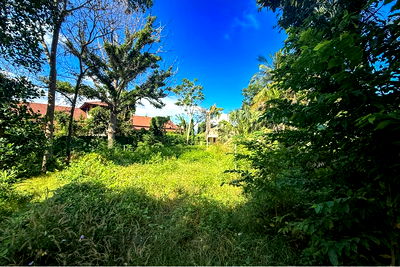 ที่ดิน เกาะสมุย สุราษฎร์ธานี : [920061011-66] Prime Land for Sale in Bophut - 2,888 sqm