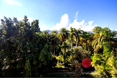 ขายคอนโด : [920211008-92] คอนโดหรู ใจกลางเชียงใหม่ วิวดีทุกมุม!