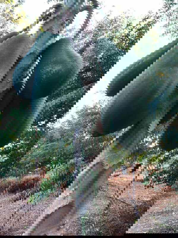 รูป บ้าน2หลังพร้อมที่ดิน2ไร่ ‼️ด่วน บ้านพร้อมที่ดิน 2 ไร่ อู่ทอง สุพรรณบุรี 🏛️ บ้าน 2 หลัง 3 ห้องนอน 2 ห้องน้ำ 🟢 โรงจอดรถ 2 โรง - รูปที่ 6/8