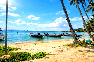 ที่ดิน เกาะสมุย สุราษฎร์ธานี : [920061011-78] Beachfront Land for Sale - Thong Krut, Koh Samui | Chanote Title