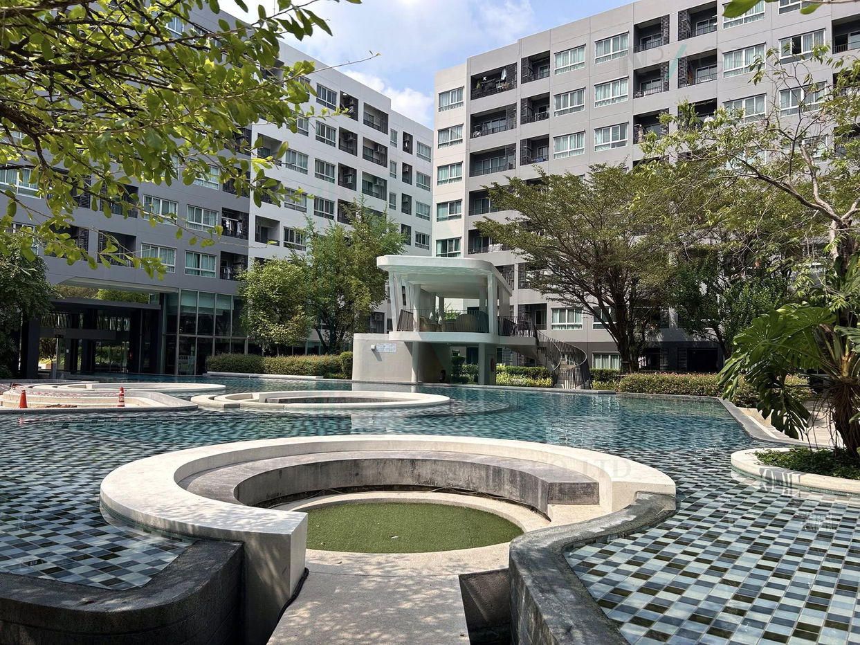 รูป ให้เช่าคอนโด เอลลิโอ เดล เรย์ อาคาร ชั้น 5 สตูดิโอ ขนาด 24 ตรม ใกล้ โรงเรียนพูนสิน - รูปที่ 6/8