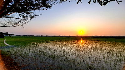 ที่ดิน นิคมสหรัตนนคร : 🔥🔥 ขายด่วน 🔥🔥 ที่ดินอยุธยา อ.บางปะหัน 7-3-94.2 ไร่ แปลงสวยราคาถูกมาก ไร่ละ 310,000 ใกล้แหล่งท่องเที่ยวอยุธยาเพียง 15 นาที โอกาสเติบโตสูงในอนาคต