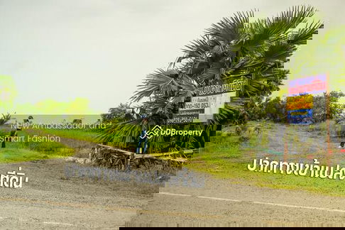 ขายที่ดินเปล่าพระอาจารย์ องครักษ์ นครนายก 8แปลง 100-150ตรว