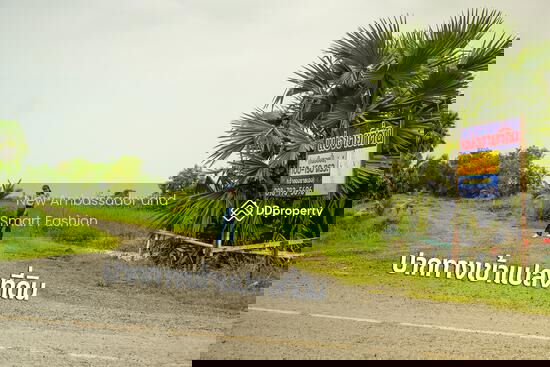 รูป ขายที่ดินเปล่าพระอาจารย์ องครักษ์ นครนายก 8แปลง 100-150ตรว - รูปที่ 1/4