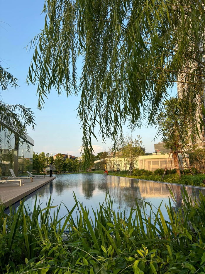 รูป Best Deal! สกายไรซ์อเวนิวสุขุมวิท 62 ชั้น 30 วิวแม่น้ำ ครบ เดือนละ 18,000 บาท - รูปที่ 14/14