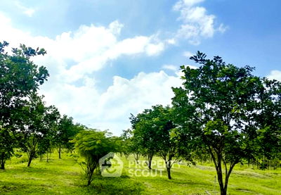 Land for sale Surat Thani : 40,000 m² Land for Sale in Makham Tia (ID 2598731)