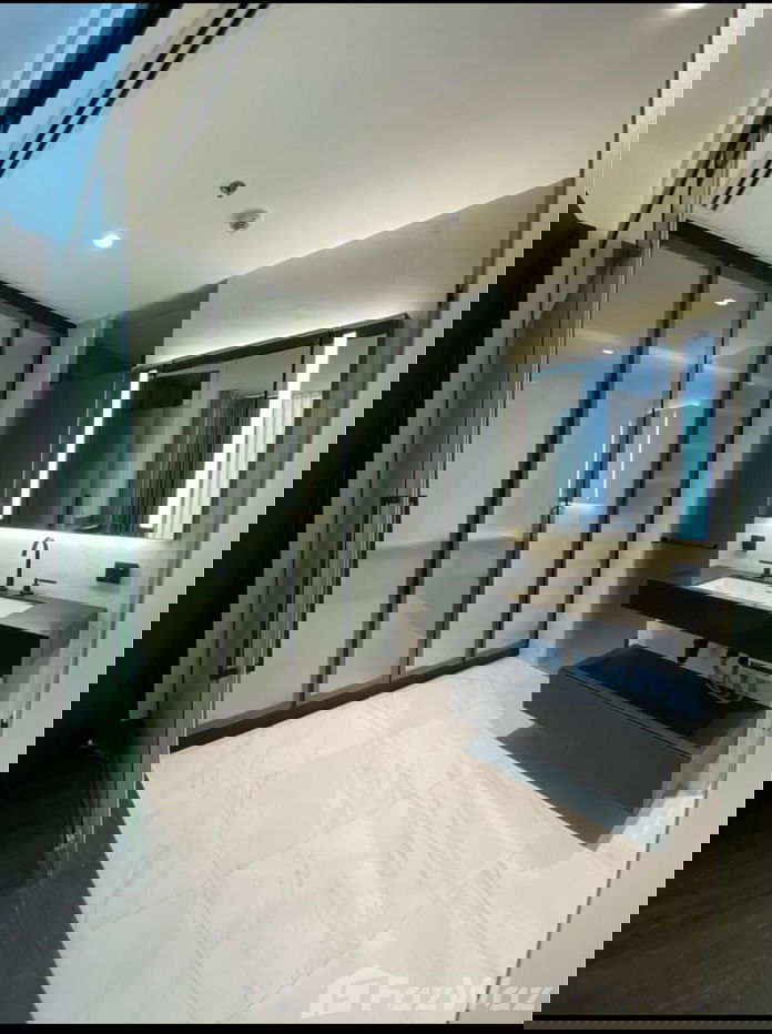 picture . 1755228 - 8/19