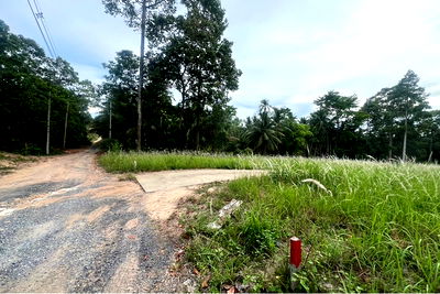 Land for sale Ko Samui Surat Thani : [920121030-213] A8 Plot of Flat Land for sale near the Beach in Taling Ngam, Koh Samui