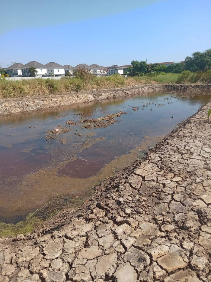 รูป ขายที่ดินเปล่า 525 ตรว. ซอยเทศบาลบางปู 83 ตรงข้ามม.บ้านสิวารมย์ 1     - รูปที่ 5/7