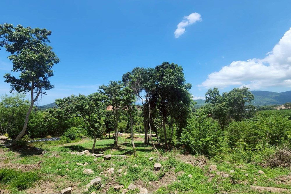 รูป [920121079-13] ขายที่ดินวิวภูเขา ที่หน้าเมือง เกาะสมุย - รูปที่ 10/15