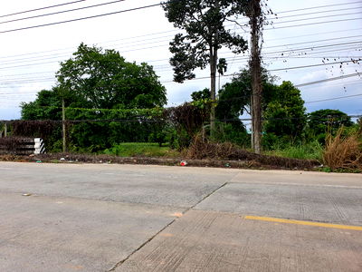 Land for rent Rayong : LAND FOR RENT GOOD FOR INVESTMENT