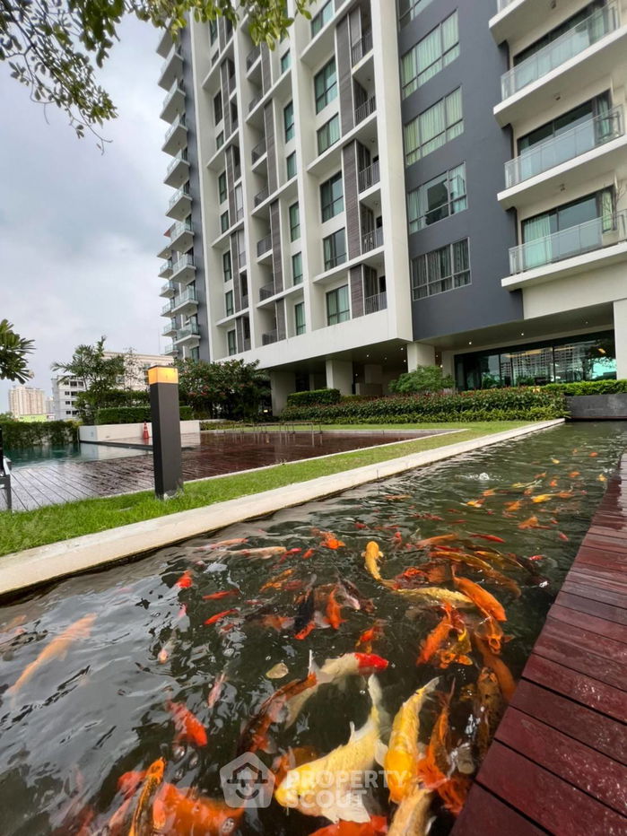 รูป คอนโด 1-ห้องนอน ที่ เดอะ รูม สุขุมวิท 62 ใกล้ BTS ปุณณวิถี (ID 1440698) - รูปที่ 21/35