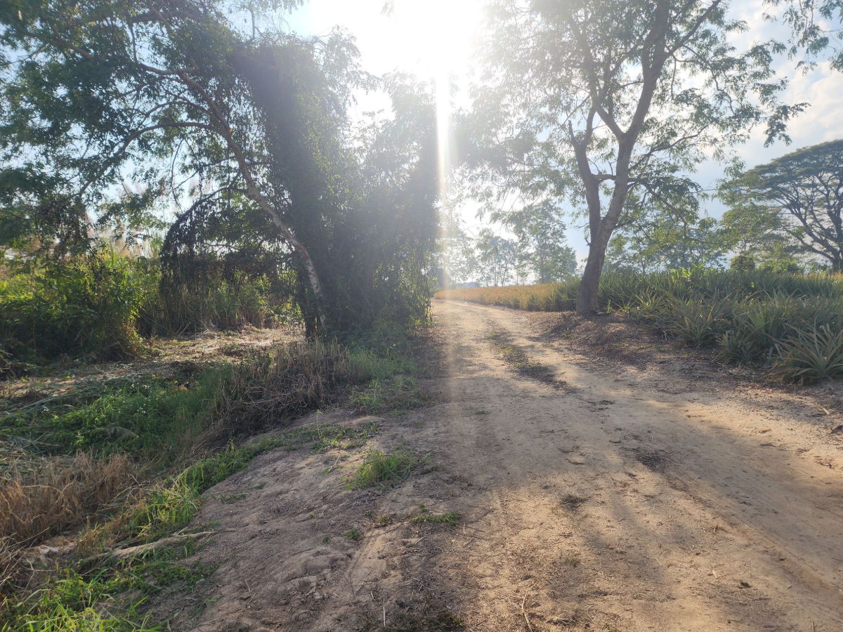 รูป ที่ดินสวยเพื่อ การสร้างที่พักอาศัย - รูปที่ 6/9