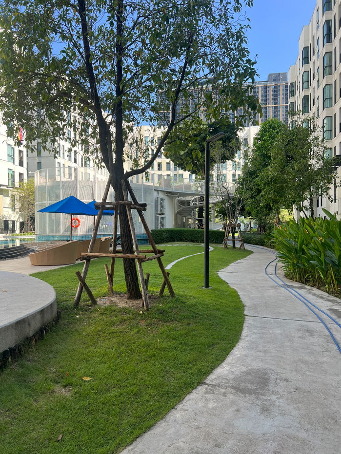 รูป 1 month rental is accepted for UNIO Sukhumvit 72 viewing please call/WhatsApp : +66 654519256 - รูปที่ 43/43