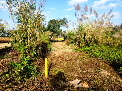 Land for sale Muang Chiang Rai Chiang Rai : LAND FOR SALEPrime Land for Sale in Chiang Rai – Only 2 Minutes to New Bus Terminal & 850m from Phahonyothin Road!