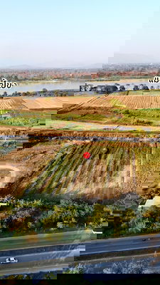 ที่ดิน เชียงแสน เชียงราย : ขายที่ดินริมโขง ติดทางหลวง 1129 บ้านแซว เชียงแสน เนื้อที่ 5-1-98 ไร่