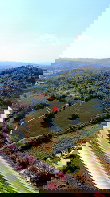 ที่ดิน เชียงราย : ขายที่ดินเปล่า วิวภูเขา ติดถนนสาย ชร.1063 แม่จัน-เชียงแสน ทำเลศักยภาพ อ.แม่จัน เชียงราย