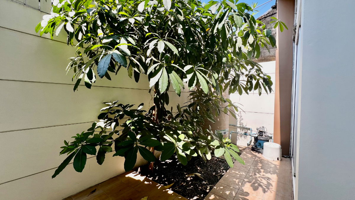 รูป ขาย ทาวน์โฮม 4 ชั้น Premium Place เอกมัย–รามอินทรา | ทำเลศักยภาพ ใกล้เลียบด่วน | เหมาะอยู่อาศัย–ทำออฟฟิศ - รูปที่ 31/52