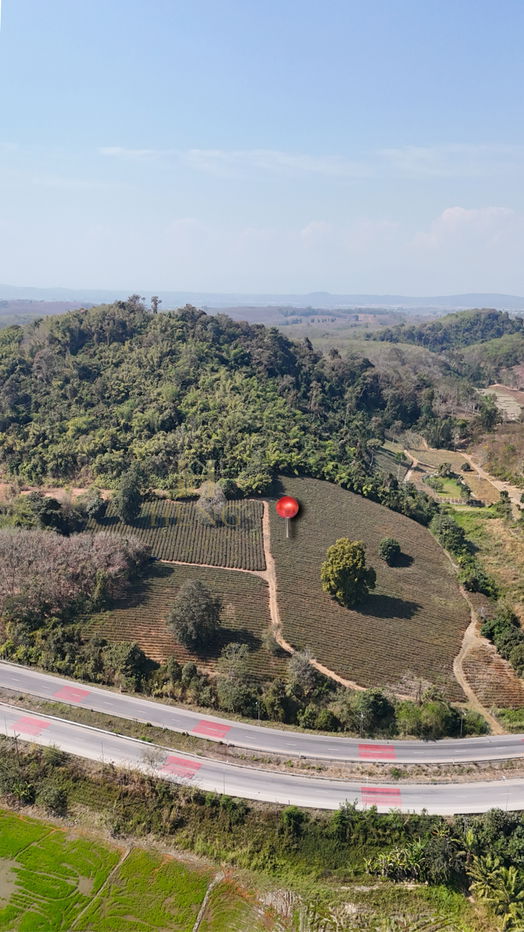 รูป ขายที่ดินเปล่า วิวภูเขา ติดถนนสาย ชร.1063 แม่จัน-เชียงแสน ทำเลศักยภาพ อ.แม่จัน เชียงราย - รูปที่ 9/9