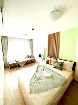 ขายคอนโด : 🔺 ขายคอนโด เอลลิโอ เดล เรย์ อาคาร C ชั้น 6 1 ห้องนอน ขนาด 34 ตรม ใกล้ โรงเรียนพูนสิน