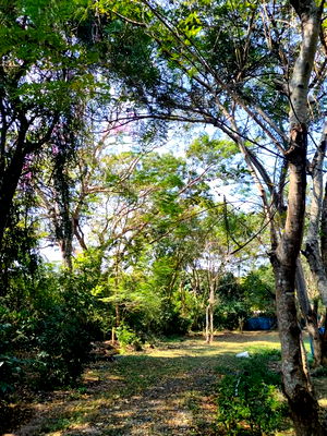 ที่ดิน ดอยสะเก็ด เชียงใหม่ : ขายที่ดิน พร้อมบ้านสวน ต.แม่โป่ง อ.ดอยสะเก็ด จ.เชียงใหม่ สงบเป็นธรรมชาติ เดินทางสะดวก (L0019) T.0946511456