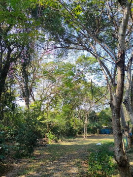 ขายที่ดิน พร้อมบ้านสวน ต.แม่โป่ง อ.ดอยสะเก็ด จ.เชียงใหม่ สงบเป็นธรรมชาติ เดินทางสะดวก (H376) T.0946511456