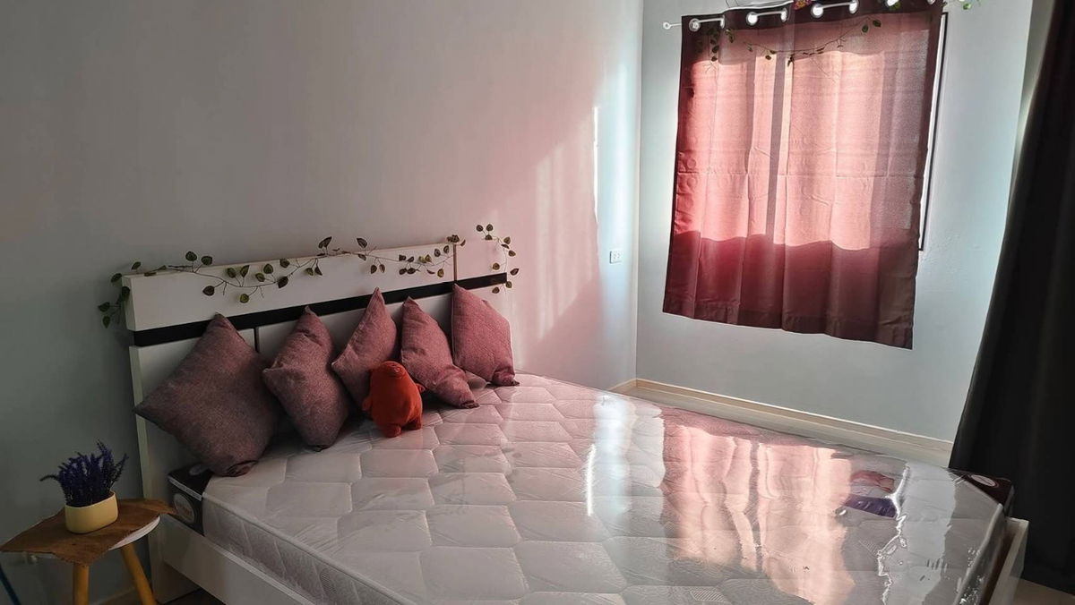 รูป ให้เช่า Notting Hill แบริ่ง 🏡 มีเครื่องซักผ้า พร้อมอยู่‼️ ใกล้ BTS #ตอบแชทไว 🔥🔥 รหัส C449 - รูปที่ 1/10