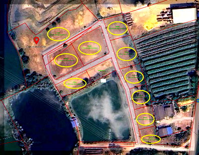 ที่ดิน นครปฐม : ขายยกแปลง! ที่ดินนครชัยศรี  9-2-38 ไร่ แบ่งแล้ว 10 โฉนด  พร้อมทำโครงการหรือจัดสรรขายต่อ