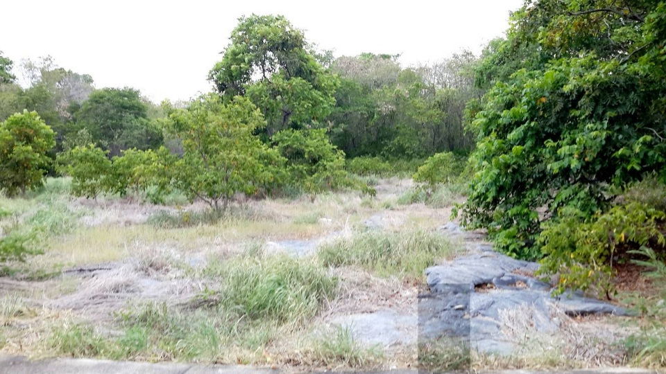 รูป ขายที่ดินเกาะสีชัง จังหวัดชลบุรี - รูปที่ 1/2