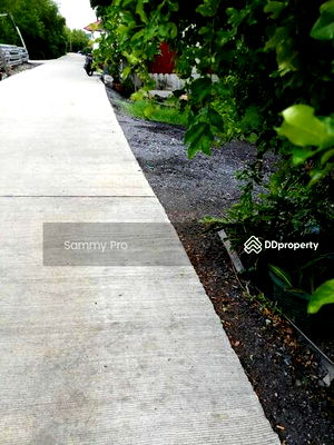 ที่ดิน บางบ่อ สมุทรปราการ : ขายที่ดินเปล่า เนื้อที่ 120 ตารางวา อ.บางบ่อ จ. สมุทรปราการ