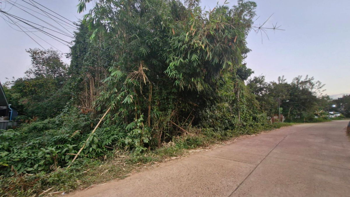 รูป ขายด่วนที่ดินเปล่า  เหมาะสำหรับทำที่จัดสรร - รูปที่ 2/5