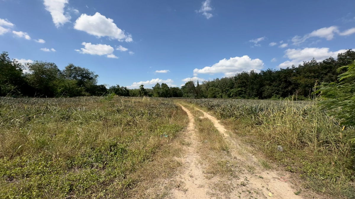 รูป ที่ดิน ปากเเพรก จังหวัดระยอง เนื้อที่ 8 ไร่ 23.6 ตารางวา ราคา 2,500,000 บาท ต่อไร่ - รูปที่ 1/6