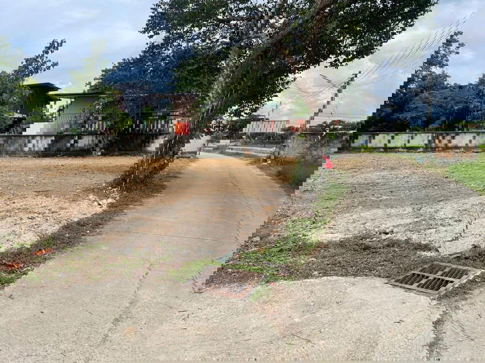 รูป Call : 097-496-6669 ขายที่ดินถมแล้ว วิวดอยสุเทพ 244 ตารางวา ตำบลตลาดขวัญ อำเภอดอยสะเก็ด เชียงใหม่ ใกล้ตัวเมืองเชียงใหม่ - รูปที่ 6/10