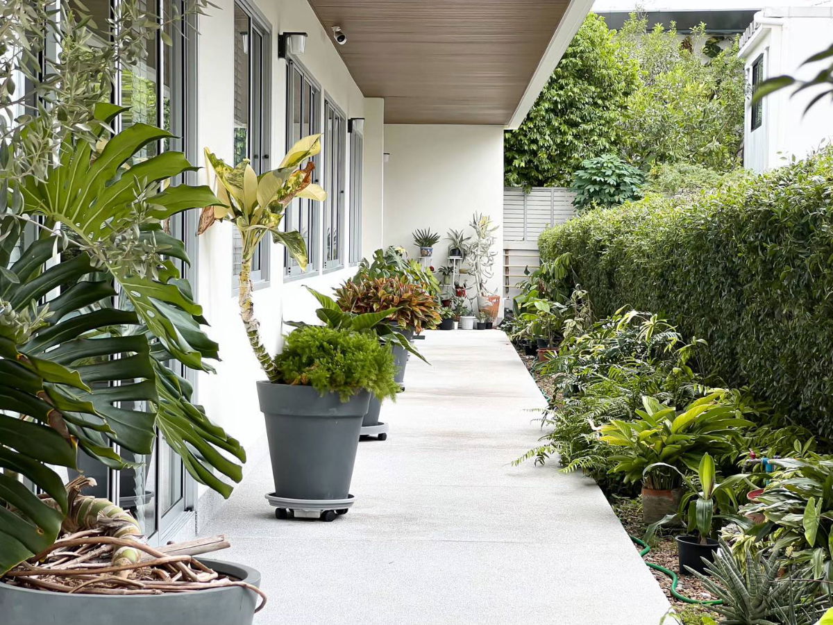 รูป ขายอาคารสำนักงาน ขายบ้านเดี่ยว ซอยแจ้งวัฒนะ 12 (ปากซอย- รพ.มงกุฎวัฒนะ), เขตหลักสี่ กรุงเทพฯ  ทั้งแจ้งวัฒนะ, วิภาวดี, หลักสี่ ใกล้ทางด่วน รถไฟฟ้า MRT  - รูปที่ 2/27