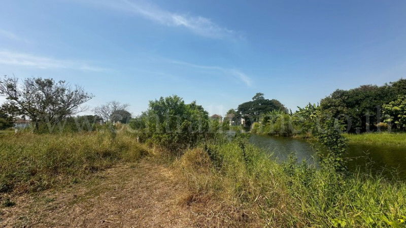 รูป ที่ดินเปล่า ถมแล้ว 106.7 ตร.วา หมู่บ้าน การ์เด้นลากูน่า - ฉะเชิงเทรา ถนนเมน ติดทะเลสาบ - รูปที่ 5/10