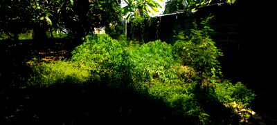 ที่ดิน ถนนลาดพร้าว : ด่วน!!ขายที่ดิน ลาดพร้าว 101/21 ทำเลทอง สี่เหลี่ยมสวย 197 ตรว. กว้าง 15.8 ลึก 48.8 เมตร