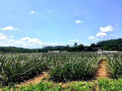ที่ดิน ตราด : ที่สวย วิวสวยมาก ขายที่ดินเปล่า ที่เป็นวิวเนินเขา ติดถนน 3 ด้าน เหมาะสำหรับบ้านพัก ทำสวน ทำไร่หรือซื้อไว้เกร็งกำไร ฯลฯ 