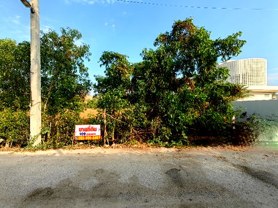 ที่ดิน ชะอำ เพชรบุรี : 💥 ขายที่ดิน 109 ตร.ว. อ.ชะอำ จ.เพชรบุรี (400 ม. จาก ถ.เพชรเกษม ฝั่งหาดชะอำ)