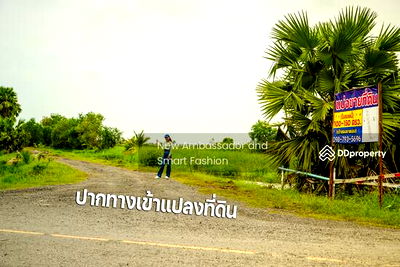 ที่ดิน นครนายก : ขายที่ดินเปล่าแบ่งขาย ล็อคละ 100-160 ตรว.