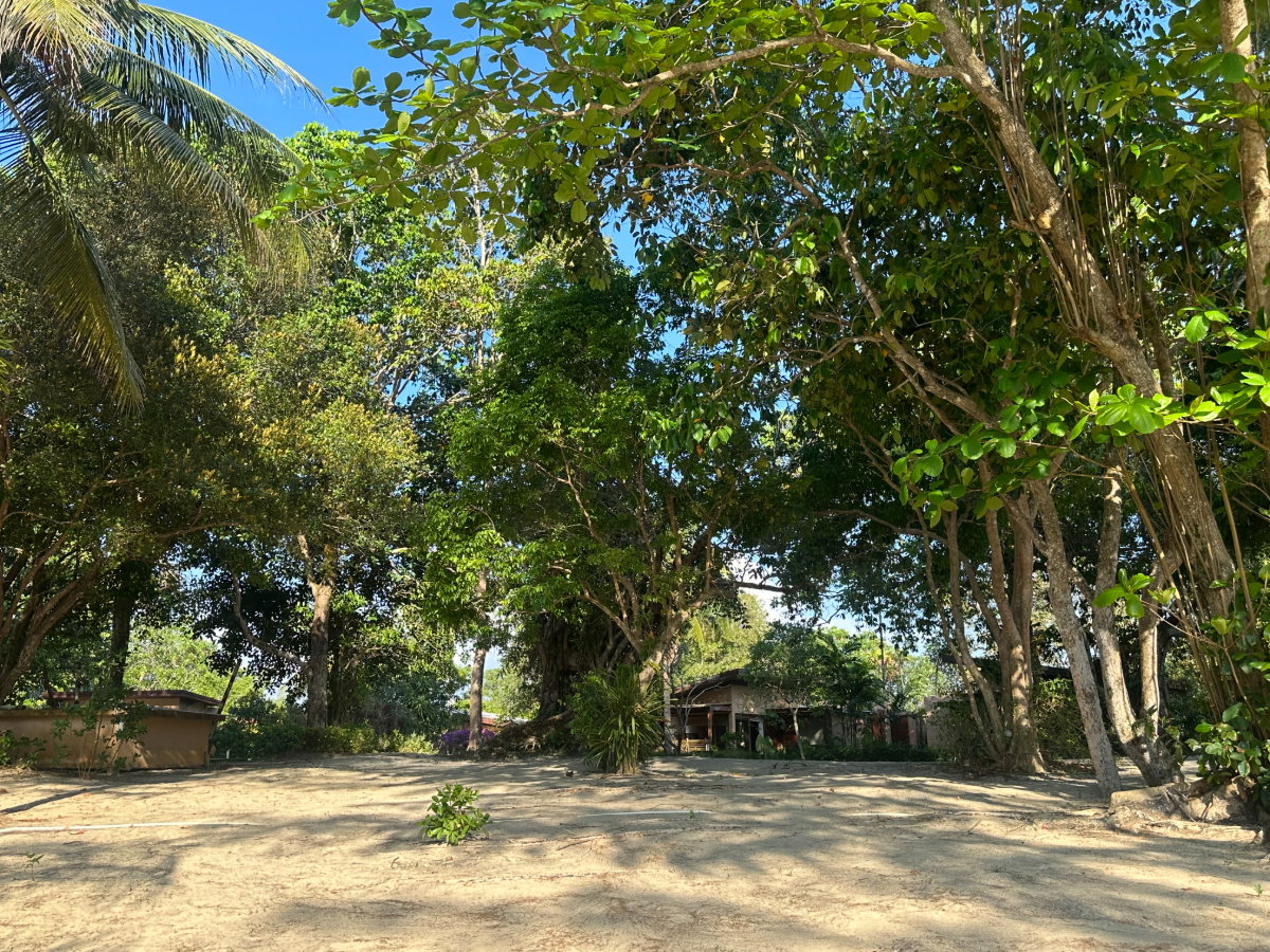 รูป ขายที่ดิน ท้ายเหมือง พังงา ที่ดินแปลงใหญ่ ทำเลศักยภาพ - รูปที่ 5/6