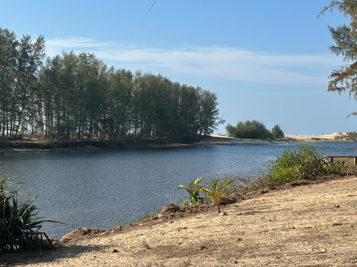 รูป ขายที่ดิน ท้ายเหมือง พังงา ที่ดินแปลงใหญ่ ทำเลศักยภาพ - รูปที่ 6/6