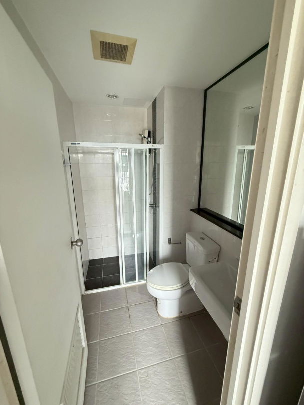 picture The Tree RIO Bang - Aor Station  - 12/12